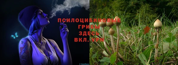 скорость Гусиноозёрск