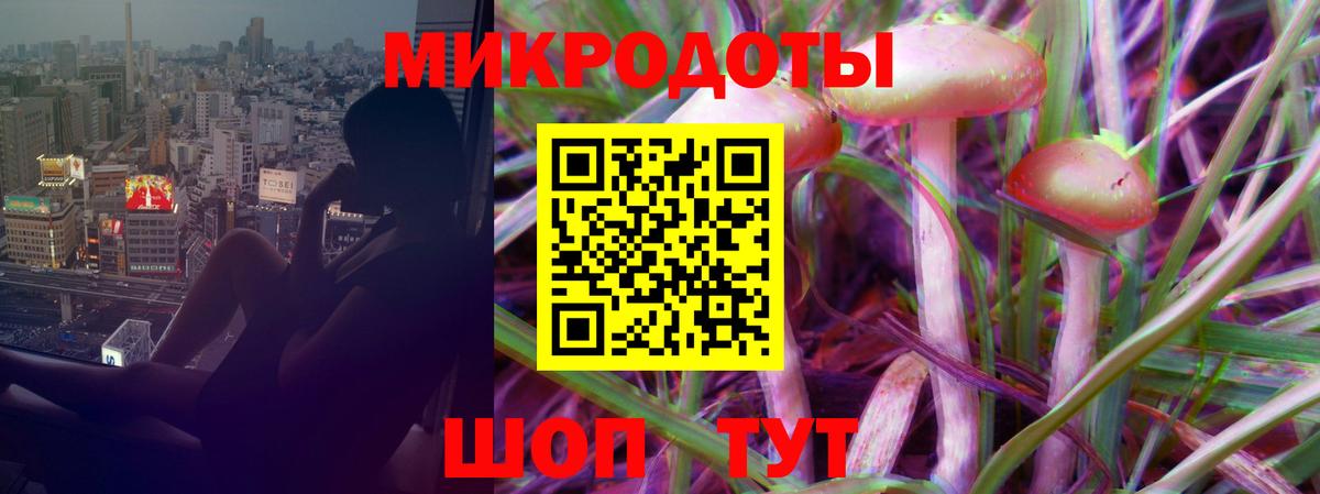 Псилоцибиновые грибы Psilocybe  купить закладку  Минеральные Воды 
