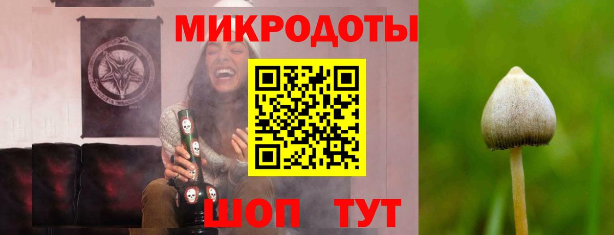 Псилоцибиновые грибы Psilocybe  Вход с VPN  где можно купить наркотик  Псилоцибиновые грибы прущие грибы  Минеральные Воды 